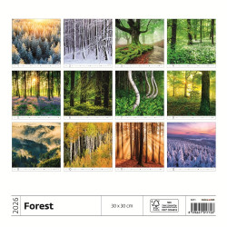 Falinaptár képes 300 x 300 mm, fehér lapokkal Forest Dayliner 2026.