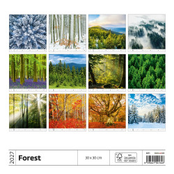 Falinaptár képes 300 x 300 mm, fehér lapokkal Forest Dayliner 2027.