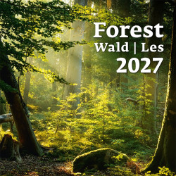 Falinaptár képes 300 x 300 mm, fehér lapokkal Forest Dayliner 2027.