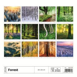 Falinaptár képes 300 x 300 mm, fehér lapokkal Forest Dayliner 2026. Író- irodaszer, papíráru Dayliner