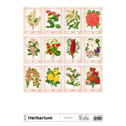 Falinaptár képes 315 x 450 mm, fehér lapokkal Herbarium Dayliner 2026.