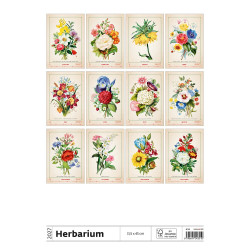 Falinaptár képes 315 x 450 mm, fehér lapokkal Herbarium Dayliner 2027.