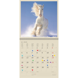 Falinaptár képes 300 x 300 mm, fehér lapokkal Horses Dayliner 2026.