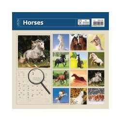 Falinaptár képes 300 x 300 mm, fehér lapokkal Horses Dayliner 2026. Író- irodaszer, papíráru Dayliner