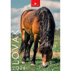 Falinaptár képes 230 x 330 mm, fehér lapokkal Lovak Dayliner 2026. Író- irodaszer, papíráru Dayliner