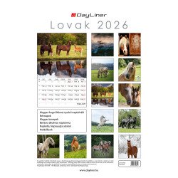 Falinaptár képes 230 x 330 mm, fehér lapokkal Lovak Dayliner 2026. Író- irodaszer, papíráru Dayliner