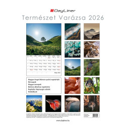 Falinaptár képes 230 x 330 mm, fehér lapokkal Természet varázsa Dayliner 2026.