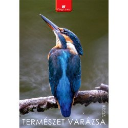 Falinaptár képes 230 x 330 mm, fehér lapokkal Természet varázsa Dayliner 2026. Író- irodaszer, papíráru Dayliner