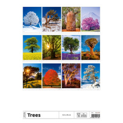 Falinaptár képes 315 x 450 mm, fehér lapokkal Trees Dayliner 2026.