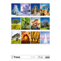 Falinaptár képes 315 x 450 mm, fehér lapokkal Trees Dayliner 2027.