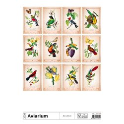 Falinaptár képes 450 × 315 mm, fehér lapokkal Aviarium Dayliner 2026. Író- irodaszer, papíráru Dayliner