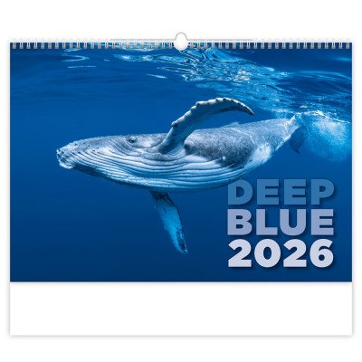 Falinaptár képes 315 × 450 mm Deep Blue Dayliner 2027.