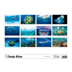 Falinaptár képes 315 × 450 mm Deep Blue Dayliner 2026.