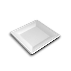 Papírtányér szögletes 20 x 20 cm komposztálható cukornád 50 db/csomag natúr Street food - party kellékek Egyéb