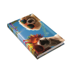 Diák zsebkönyv 125mmx205mm, fehér lapokkal 2026/2027 summer Realsystem Író- irodaszer, papíráru Realsystem