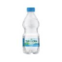 Ásványvíz 0,33l szénsavas Theodora DRS