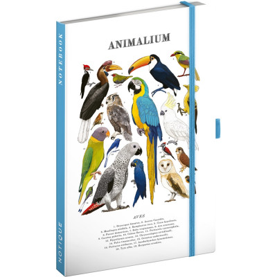 Keménytáblás notesz krémszínű lapokkal, vonalas, leszorító gumiszalaggal Animalium – Birds 130x210mm, Presco