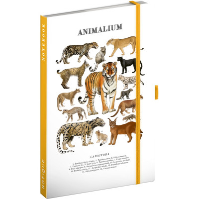 Keménytáblás notesz krémszínű lapokkal, vonalas, leszorító gumiszalaggal Animalium – Felines 130x210mm, Presco