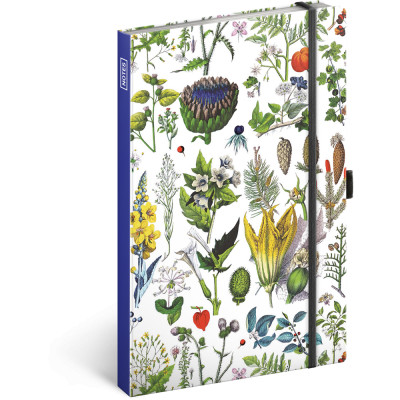 Keménytáblás notesz krémszínű lapokkal, pontozott, leszorító gumiszalaggal Herbs 130x210mm, Presco
