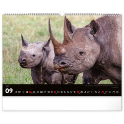 Falinaptár képes  480x330mm Wild Africa Realsystem 2027.