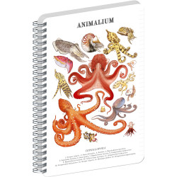Jegyzetfüzet ikerspirálos Animalium – Cephalopods, vonalas, 14,8x21cm A5, Presco Író- irodaszer, papíráru Presco