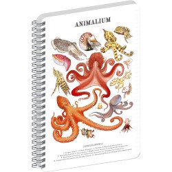 Jegyzetfüzet ikerspirálos Animalium – Cephalopods, vonalas, 14,8x21cm A5, Presco Író- irodaszer, papíráru Presco
