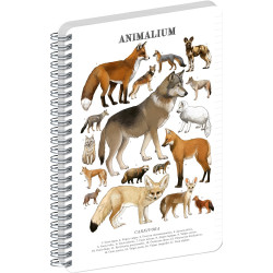 Jegyzetfüzet ikerspirálos Animalium – Canines, vonalas, 14,8x21cm A5, Presco Író- irodaszer, papíráru Presco
