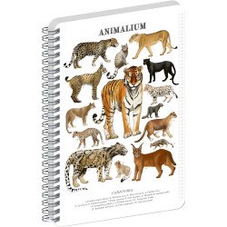 Jegyzetfüzet ikerspirálos Animalium – Felines, négyzethálós, 21x29,7cm A4, Presco Író- irodaszer, papíráru Presco