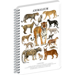 Jegyzetfüzet ikerspirálos Animalium – Felines, négyzethálós, 14,8x21cm A5, Presco Író- irodaszer, papíráru Presco