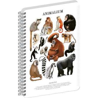 Jegyzetfüzet ikerspirálos Animalium – Primates, négyzethálós, 14,8x21cm A5, Presco