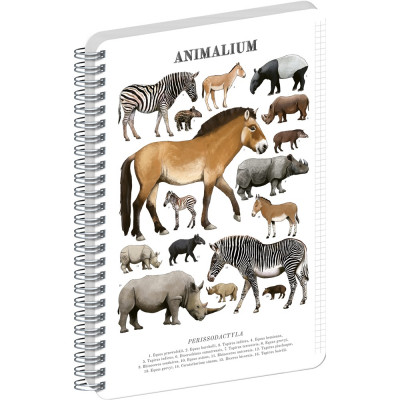 Jegyzetfüzet ikerspirálos Animalium – Perissodactyls, négyzethálós, 14,8x21cm A5, Presco