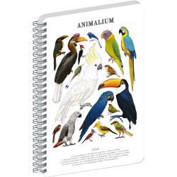 Jegyzetfüzet ikerspirálos Animalium – Birds, sima, 14,8x21cm A5, Presco Író- irodaszer, papíráru Presco