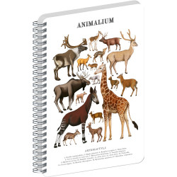 Jegyzetfüzet ikerspirálos Animalium – Artiodactyls, sima, 14,8x21cm A5, Presco Író- irodaszer, papíráru Presco