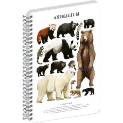 Jegyzetfüzet ikerspirálos Animalium – Bears, sima, 14,8x21cm A5, Presco Író- irodaszer, papíráru Presco
