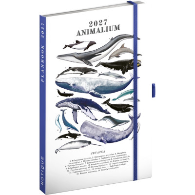 Keménytáblás tervező krémszínű lapokkal, kétheti beosztással, leszorító gumiszalaggal Marine Life 130x210mm, Presco