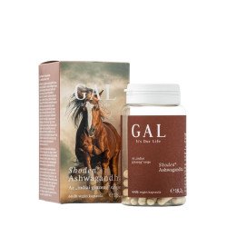Shoden Ashwagandha kapszula 60db GAL Vitaminok, egészségmegőrzés GAL