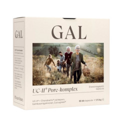 UC-II Porc-komplex kapszula 60db GAL Vitaminok, egészségmegőrzés GAL